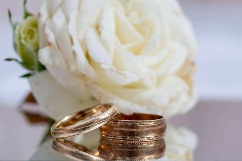 Rings and Rose