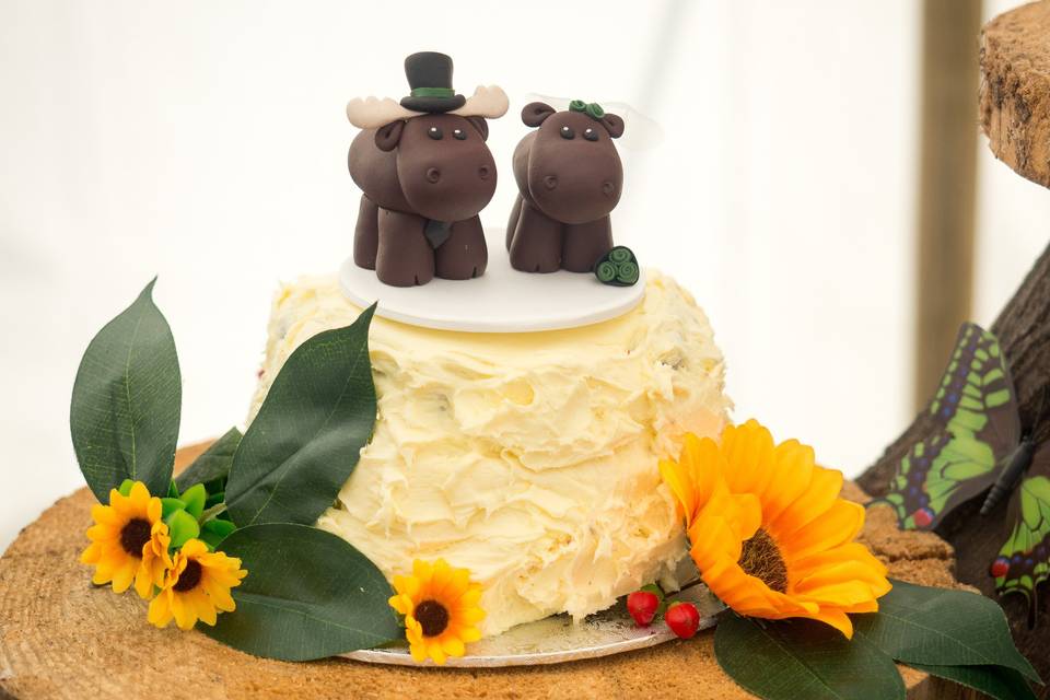 Hippo Cake