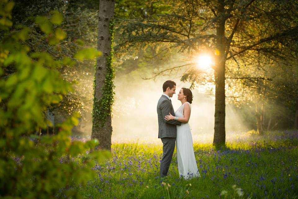 Bluebell woods at Rockbeare