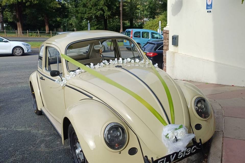 Elvis 6