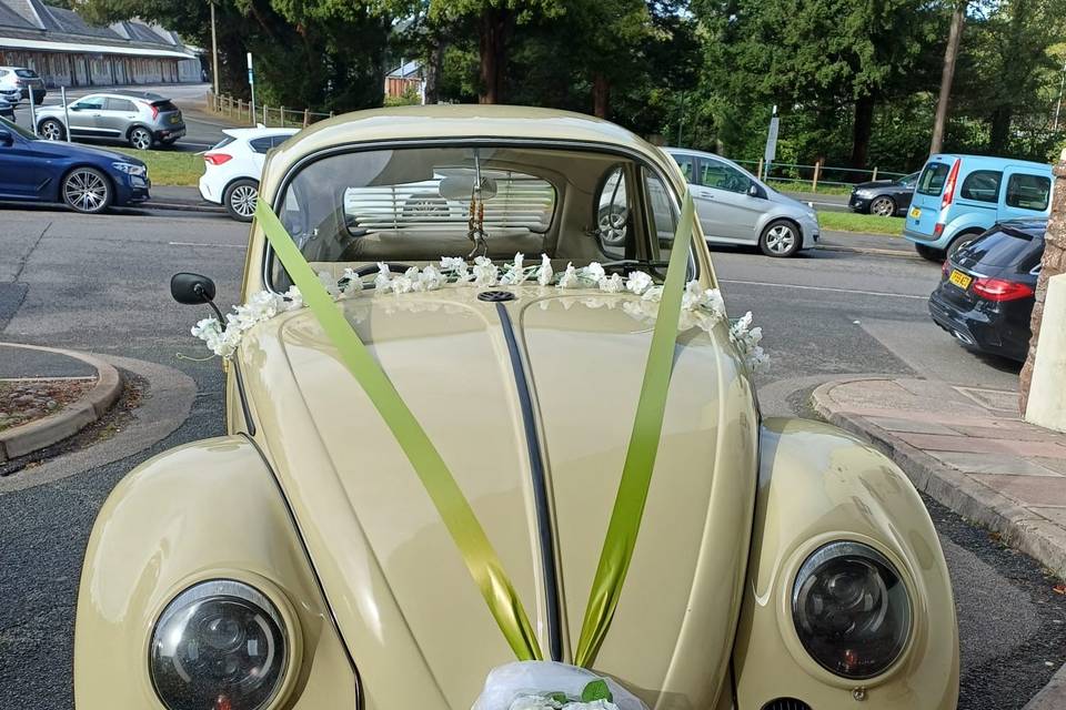 Elvis classic Beetle