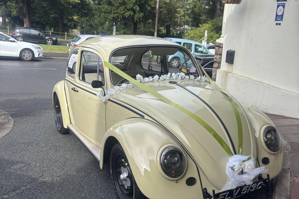 Elvis 9