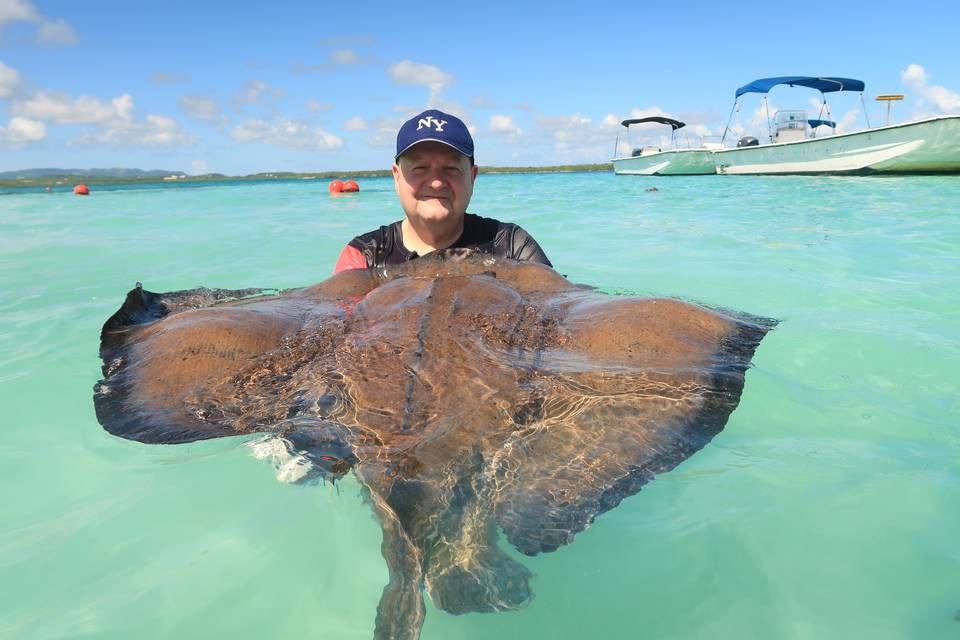 Me at Stingray city Antigua