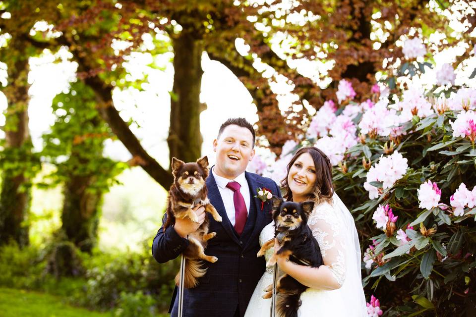 Dog friendly weddings