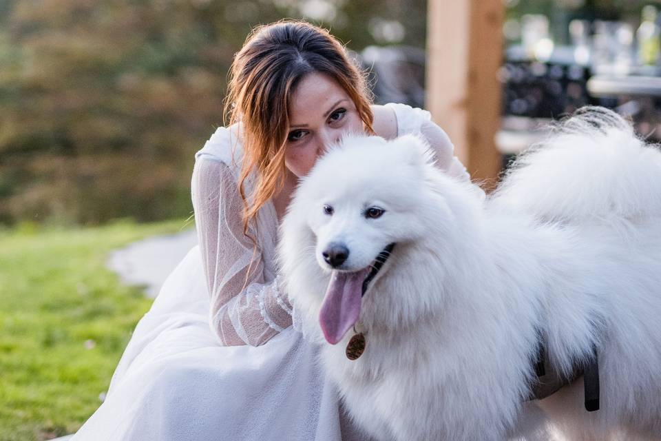 Gorgeous bride and dog