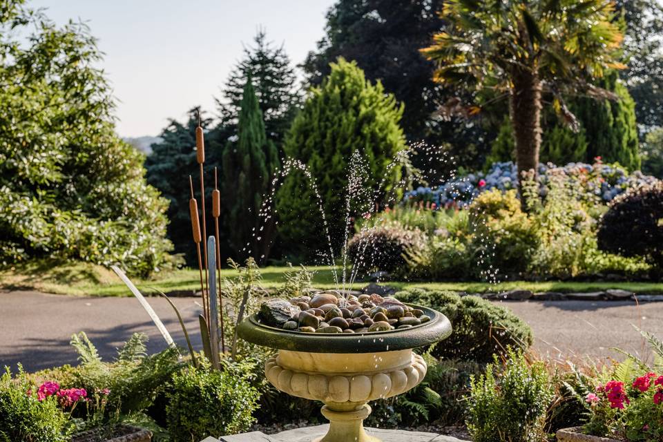 Fountain in Summer