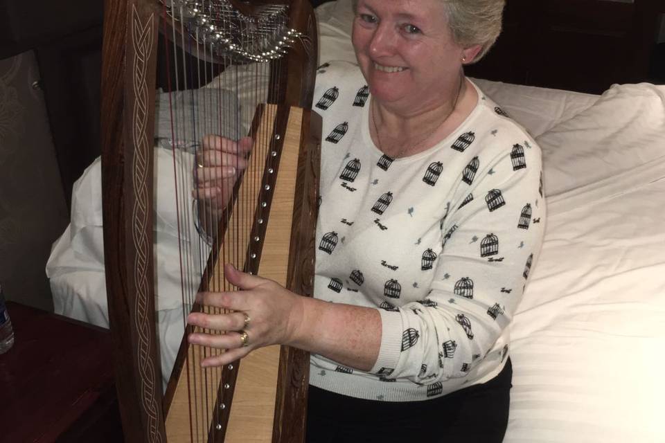 Celtic harp