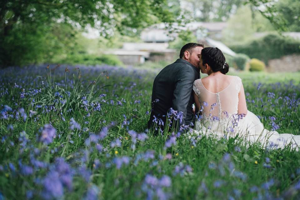 Bluebells in our wild orchard