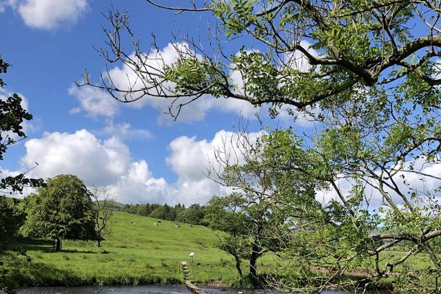 Romantic stepping stones