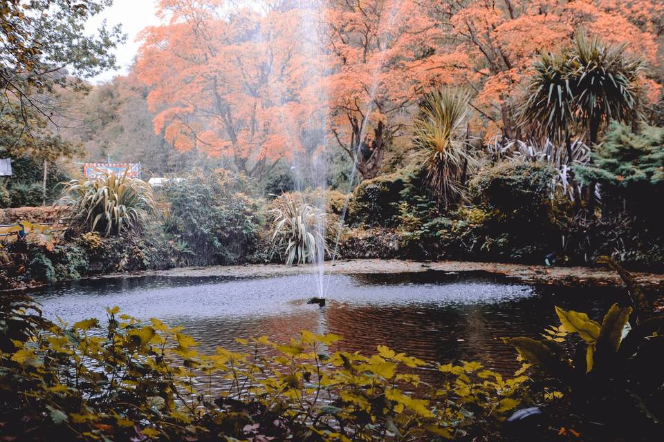 Picturesque pond