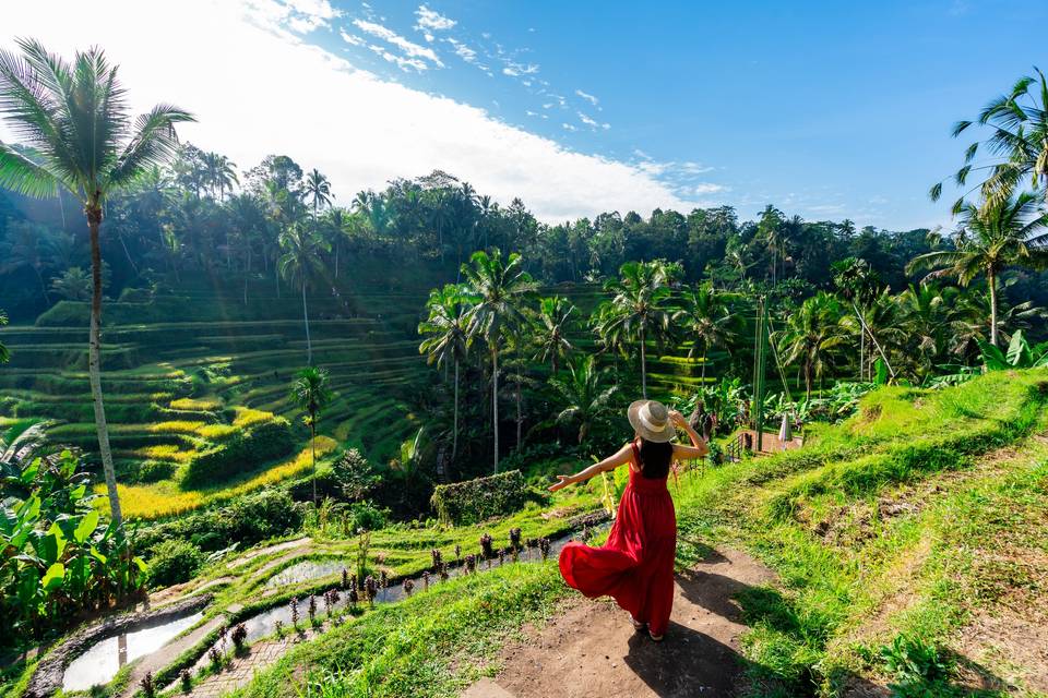 Bali Exploration