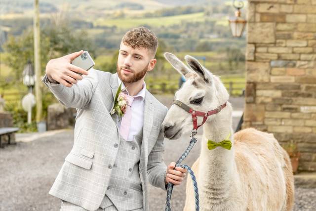 Farm wedding - Groom