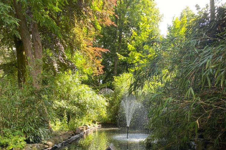 Beautiful private pond