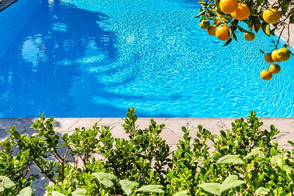 The pool