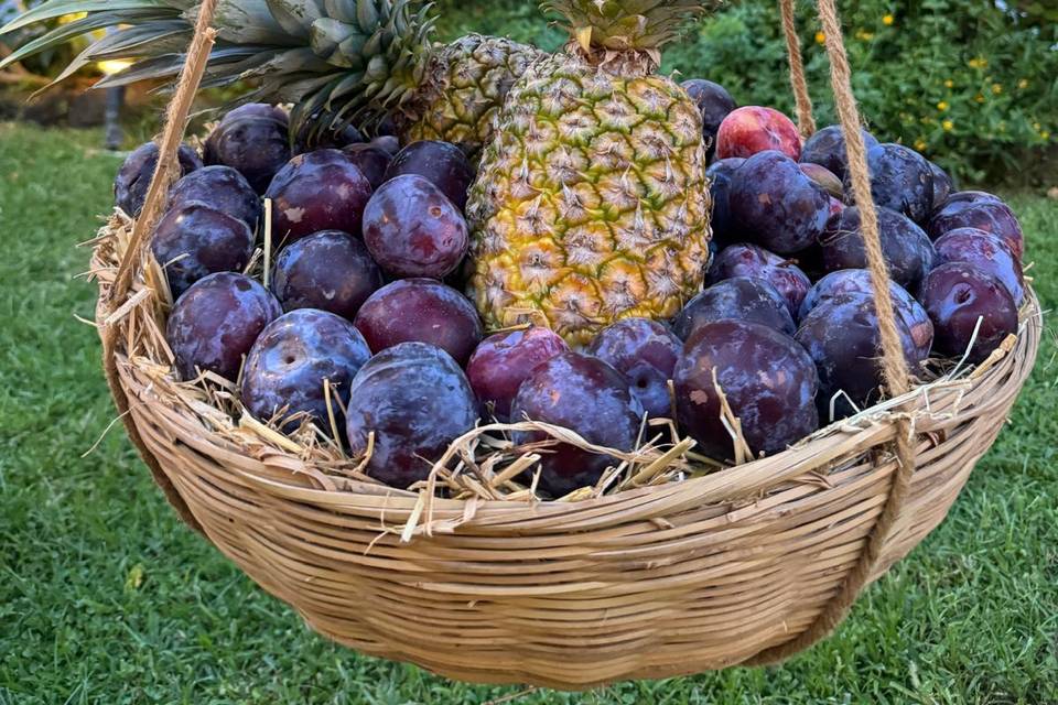 Fruit