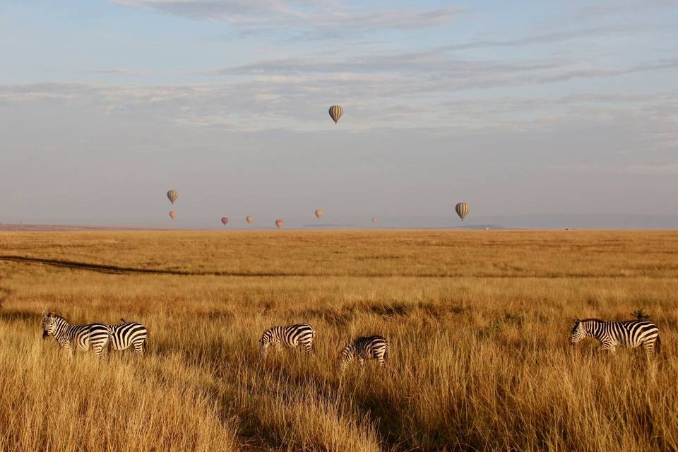 Hot air balloon safari