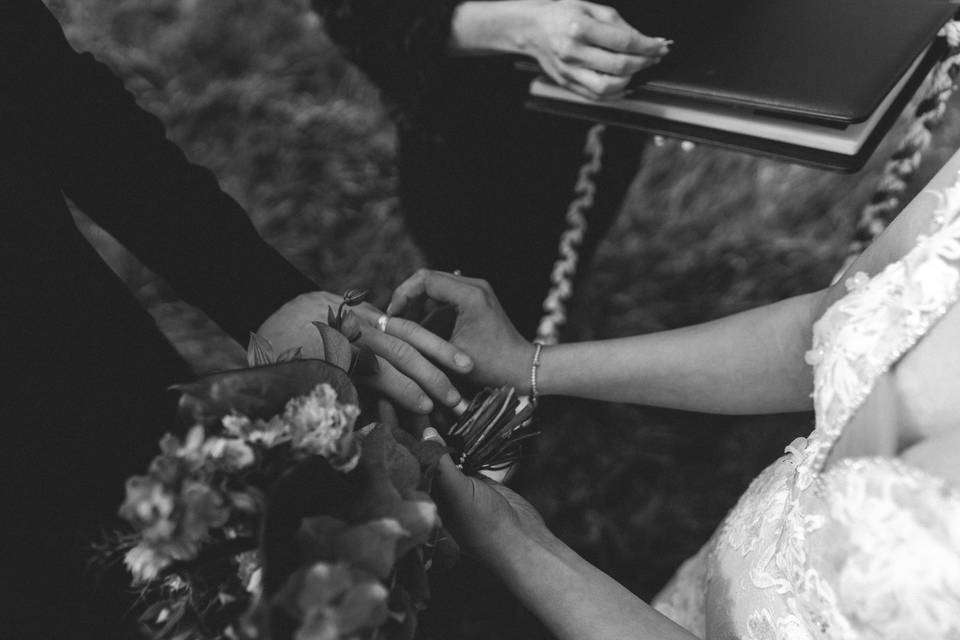 The rings