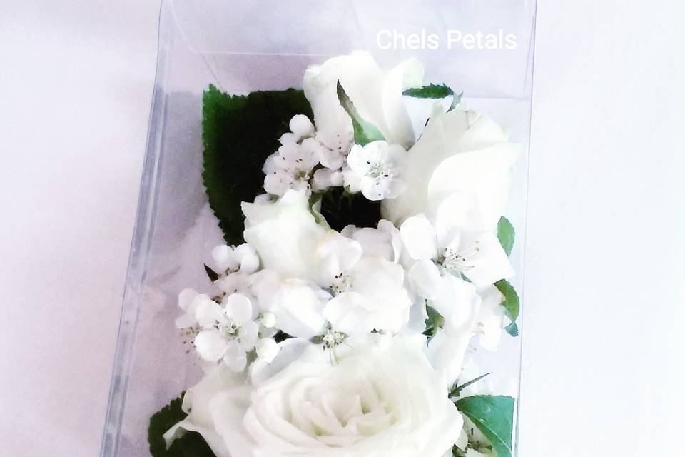 Chels Petals