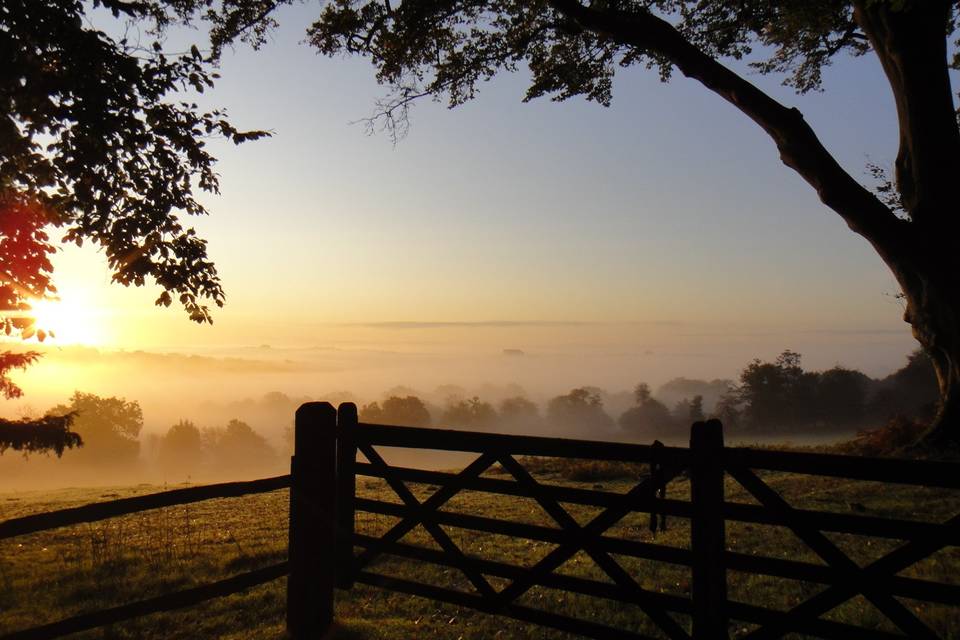 Pippingford Park 10