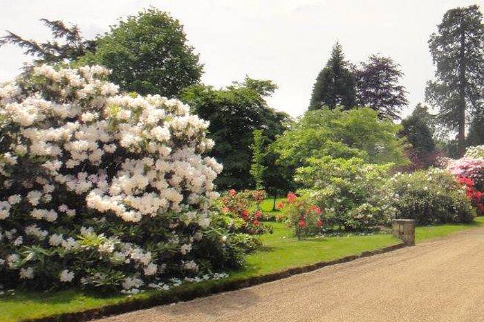 Pippingford Park 21