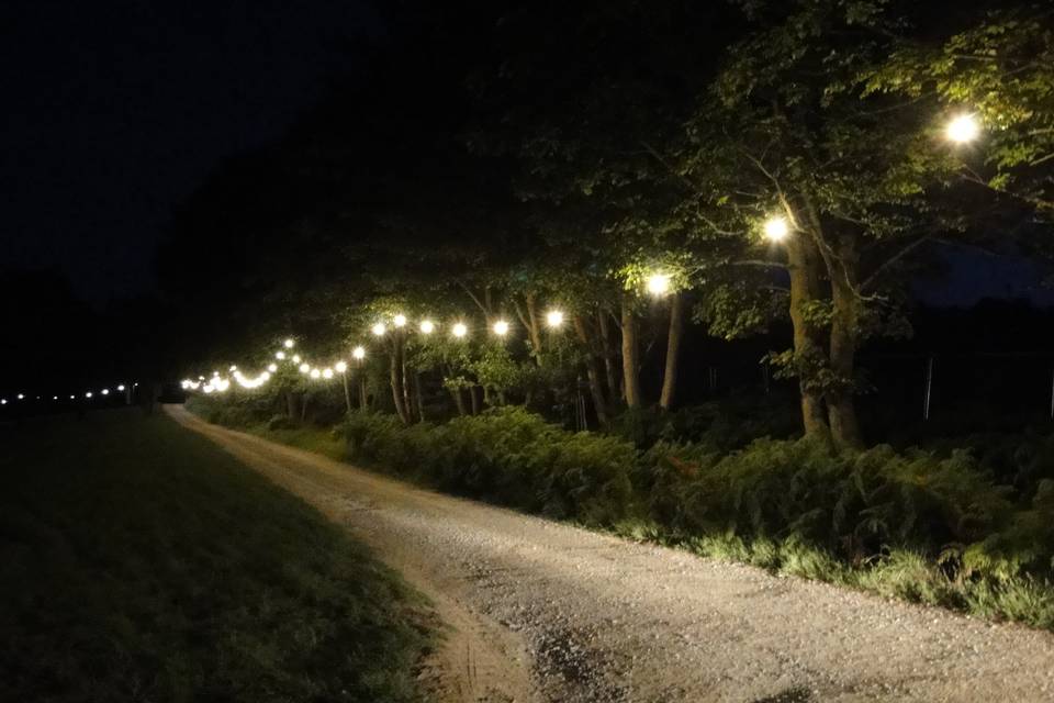 Pippingford Park 6