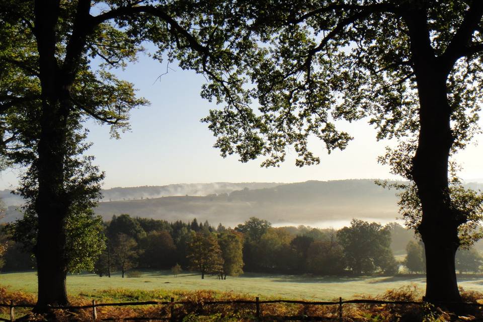 Pippingford Park 8