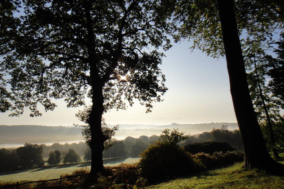 Pippingford Park 9
