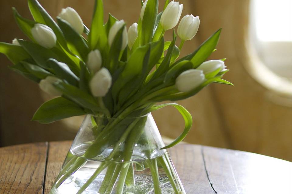 Flower and Chair