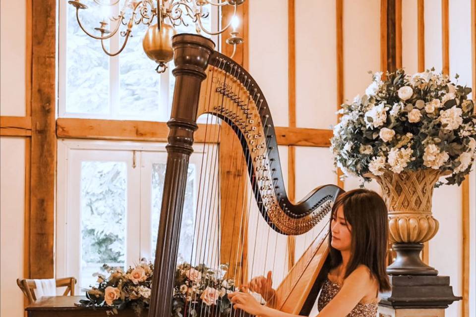 London harpist