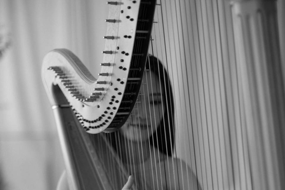 London Asian wedding harpist