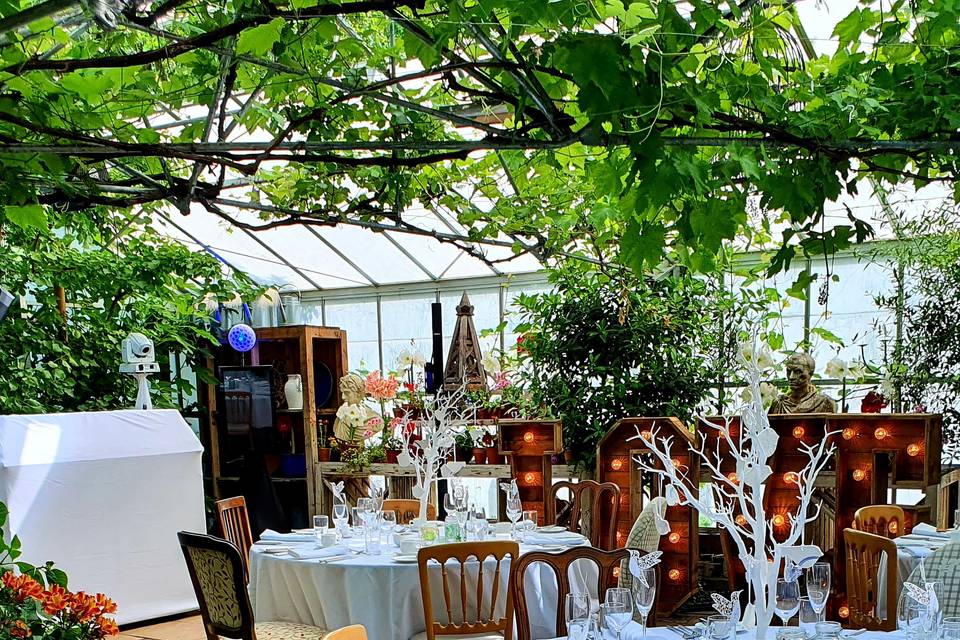 Table styling