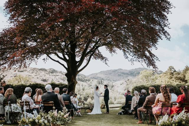 Under the beech tree
