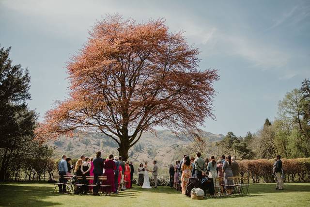 Under the beautiful beech tree