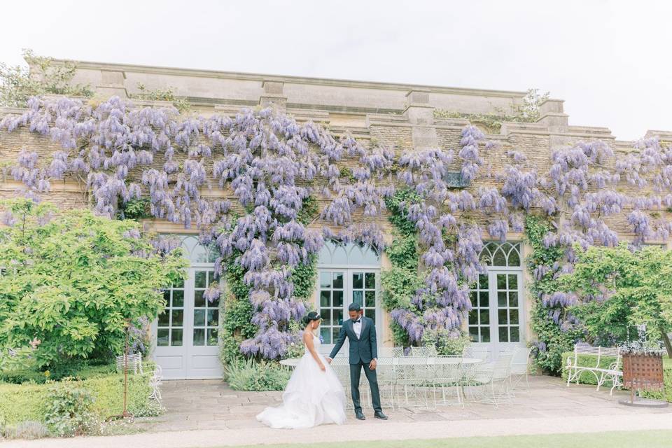 Wisteria Wall