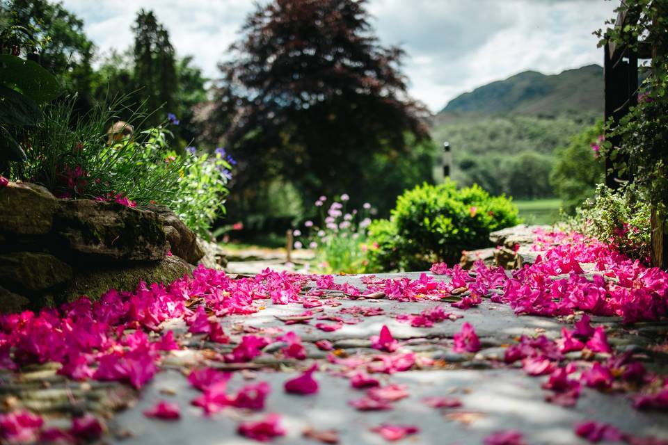 Flower aisle