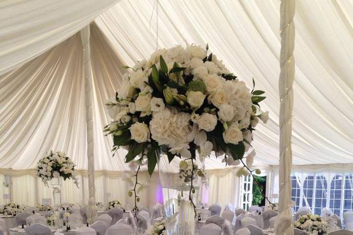 Elegant Marquee