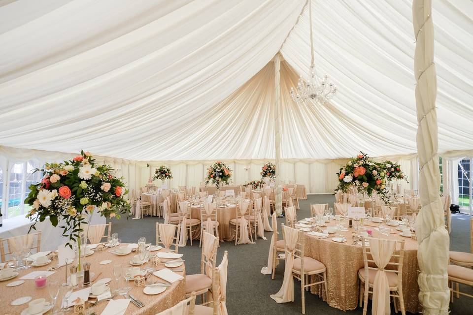 Blush Marquee