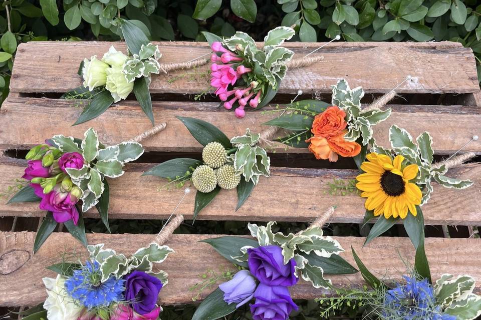 Colourful buttonholes