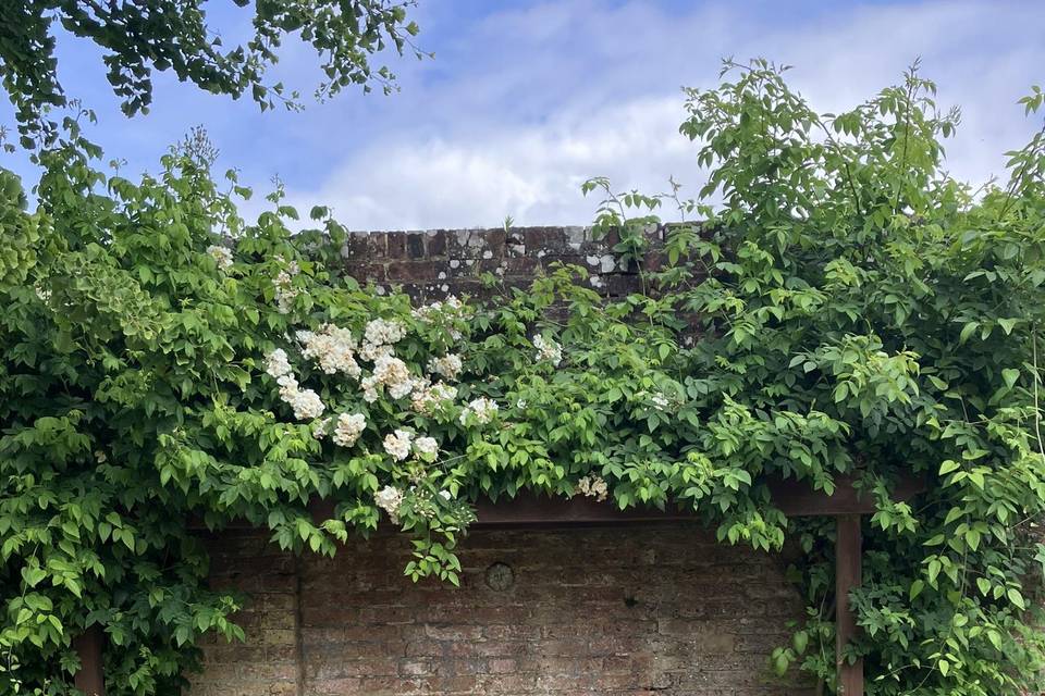 Pergola