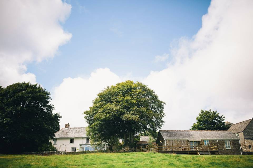 Farm views