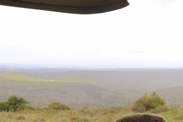 On safari in Shamwari
