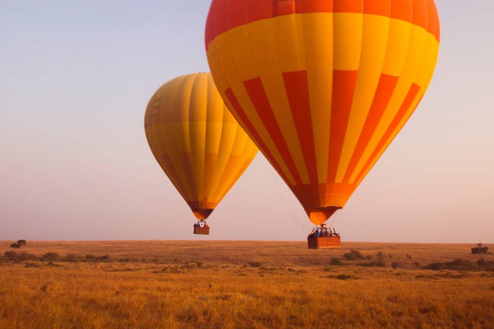 Hot air balloon