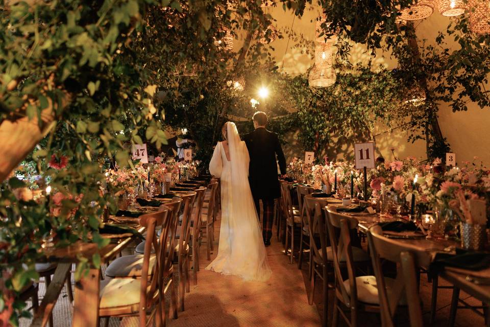 L&S First look