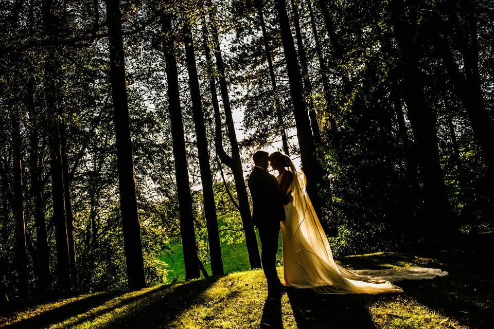 Bride and Groom trees