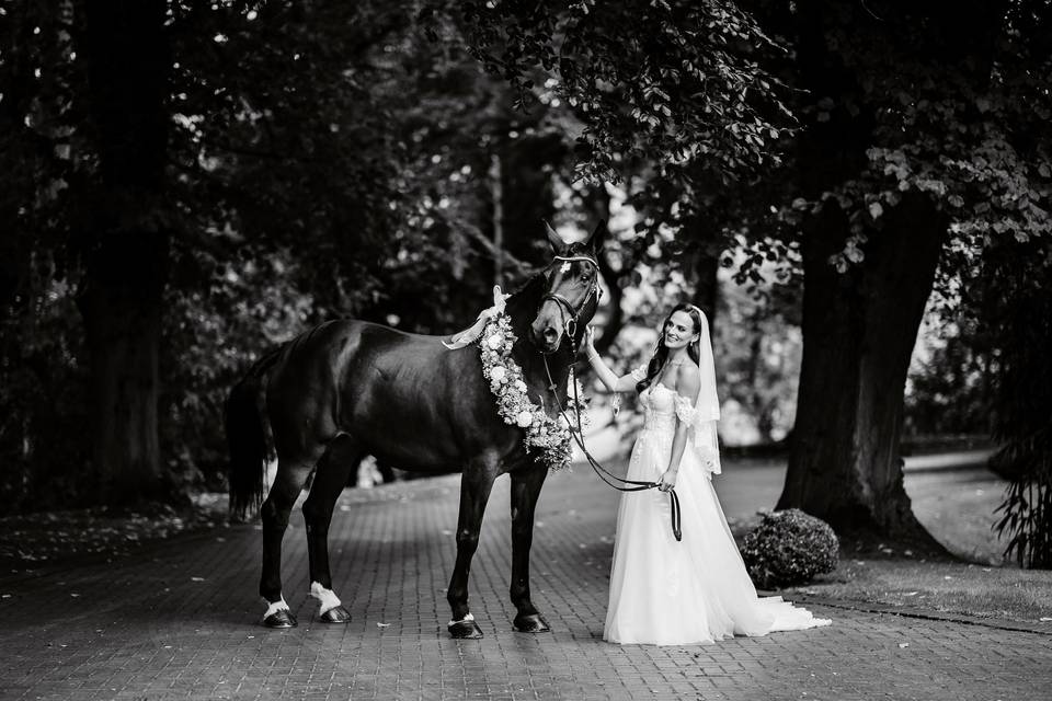 Bride and Horse - drive