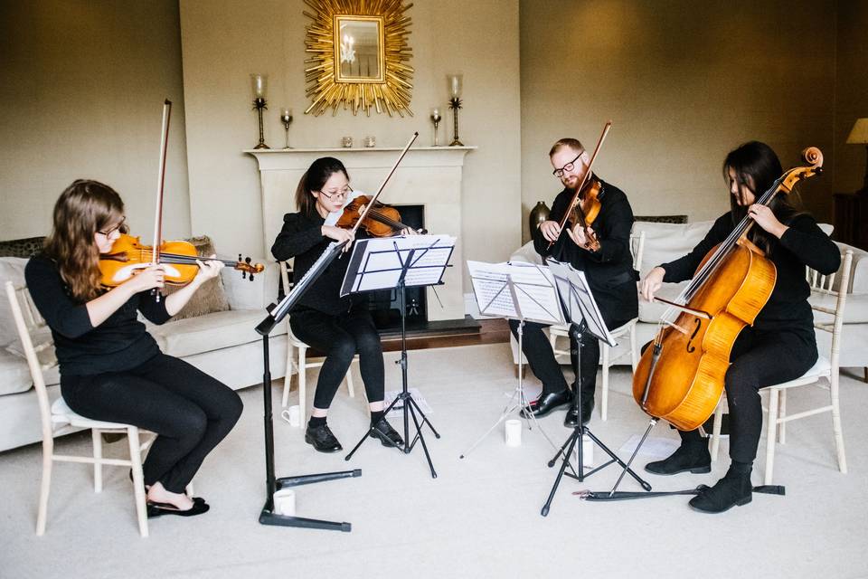 Drawing Room String Quartet