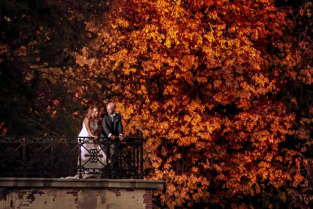 Stunning backdrop