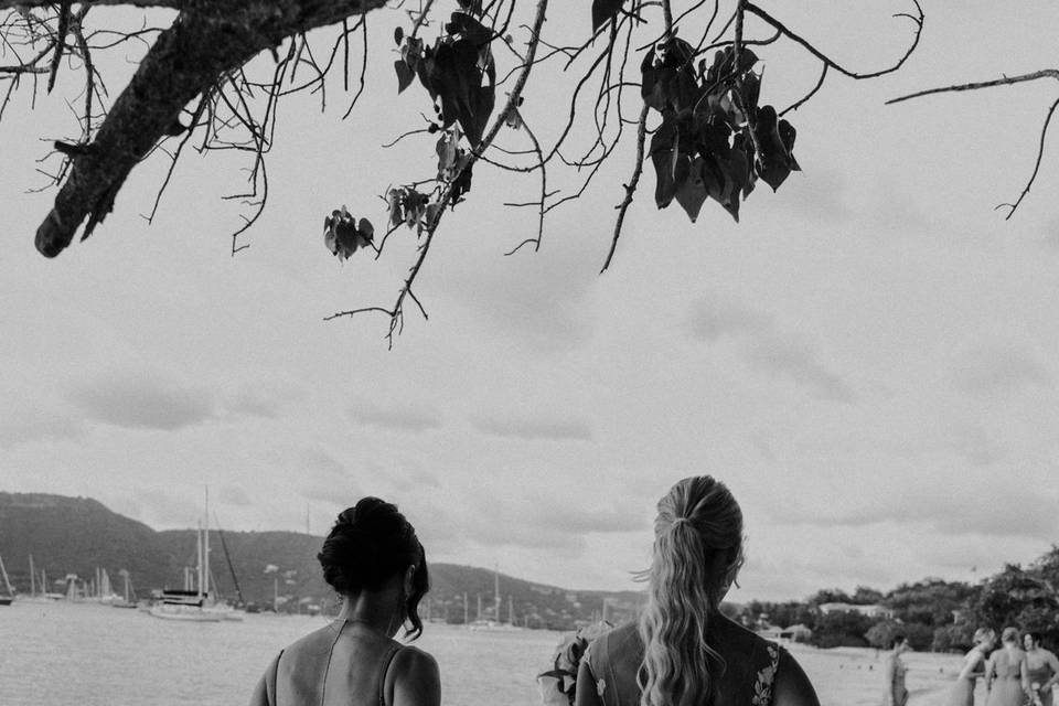 Sophia Luccia Photography