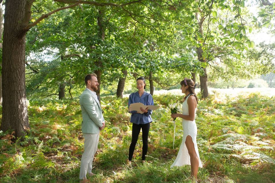 Richmond Park elopement