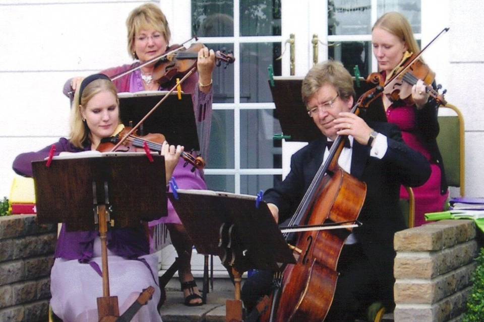 The Spring Quartet String